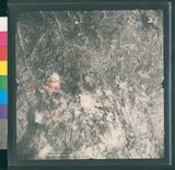 ���Ƚs��:12-4916