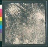 ���Ƚs��:12-4916