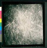 ���Ƚs��:12-4948