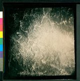 ���Ƚs��:12-4948