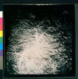 ���Ƚs��:12-4948