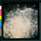 ���Ƚs��:12-4948