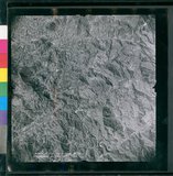 ���Ƚs��:12-4949