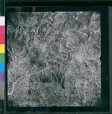 ���Ƚs��:12-4949