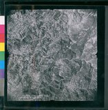 ���Ƚs��:12-4949