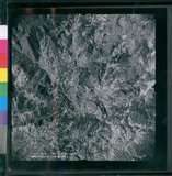 ���Ƚs��:12-4949