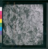 ���Ƚs��:12-4949