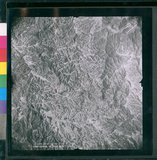 ���Ƚs��:12-4949