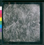 ���Ƚs��:12-4949