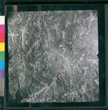 ���Ƚs��:12-4949