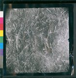 ���Ƚs��:12-4949