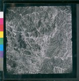 ���Ƚs��:12-4949