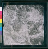 ���Ƚs��:12-4949