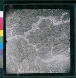 ���Ƚs��:12-4949