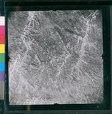 ���Ƚs��:12-4949