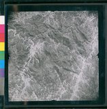 ���Ƚs��:12-4949