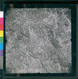 ���Ƚs��:12-4949