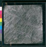 ���Ƚs��:12-4949