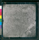 ���Ƚs��:12-4949