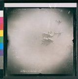 ���Ƚs��:12-4952VV