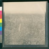 ���Ƚs��:12-4960