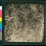 ���Ƚs��:12-5036