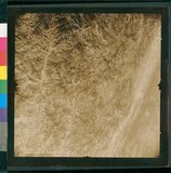 ���Ƚs��:12-5036