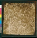 ���Ƚs��:12-5036