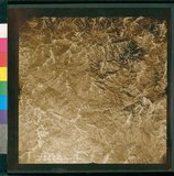 ���Ƚs��:12-5036