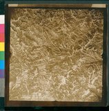 ���Ƚs��:12-5036