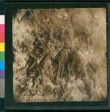 ���Ƚs��:12-5036