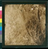 ���Ƚs��:12-5036