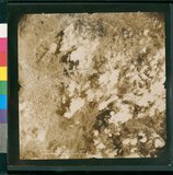 ���Ƚs��:12-5036