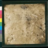 ���Ƚs��:12-5036