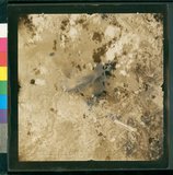 ���Ƚs��:12-5036