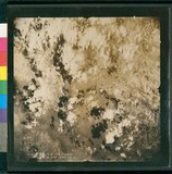 ���Ƚs��:12-5036