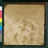 ���Ƚs��:12-5036