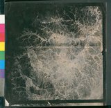 ���Ƚs��:12-5038