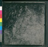 ���Ƚs��:12-5038