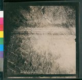 ���Ƚs��:12-5038