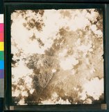 ���Ƚs��:12-5837