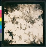 ���Ƚs��:12-5837