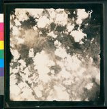 ���Ƚs��:12-5837