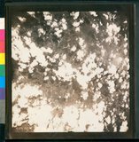 ���Ƚs��:12-5837