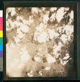 ���Ƚs��:12-5837