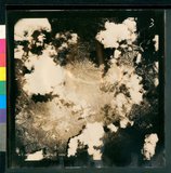 ���Ƚs��:12-5923