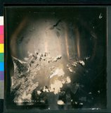 ���Ƚs��:12-5923