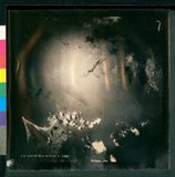 ���Ƚs��:12-5923