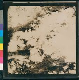 ���Ƚs��:12-5947