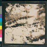 ���Ƚs��:12-5947